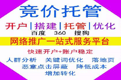 某某SEM服务公司如何帮助企业实现ROI最大化
